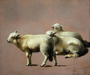 Study of Sheep by Eugene Joseph Verboeckhoven