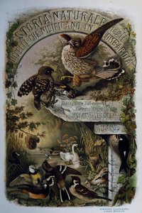 Title page of Natural History of Birds that nest in Lombardy, engraving by Oscar Dressler, Italy