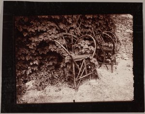 Hops by Eugène Atget