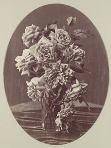 Roses, ca. 1875