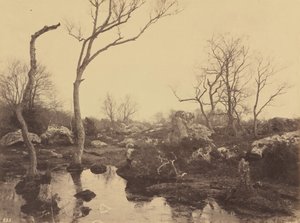 Belle Croix by Eugène Cuvelier
