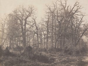 Crossroads of the Thorn by Eugène Cuvelier