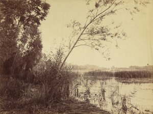 Marais de Fampoux, early 1860s by Eugène Cuvelier