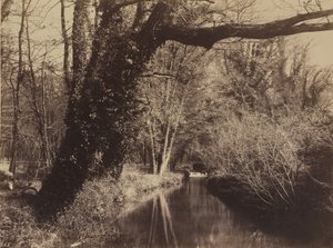 Parc de Courances, late 1850s