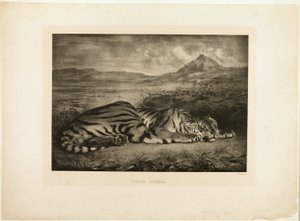 Bengal Tiger by Eugène Delacroix