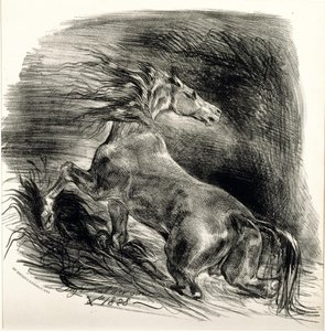 Wild Horse by Ferdinand Victor Eugene Delacroix