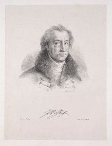 Illustrations for Faust: Frontispiece - Portrait of Johann Wolfgang von Goethe by Eugène Delacroix