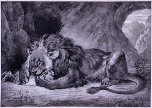 Lion of Atlas by Eugène Delacroix