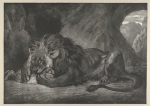 Lion of the Atlas Mountains, 1829-30 by Eugène Delacroix