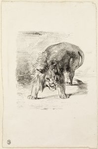 Standing Lion by Eugène Delacroix