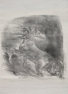 The Wild Horse, or Frightened Horse Leaving the Water by Eugène Delacroix