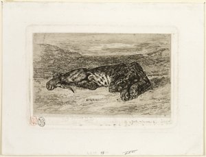 Tiger Resting in the Desert
