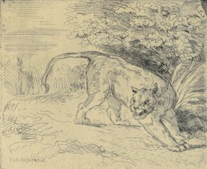Tiger on Alert