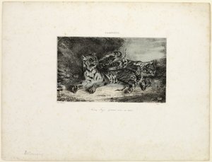 Young Tiger Playing with its Mother by Eugène Delacroix