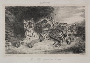 Young Tiger Playing with its Mother by Eugène Delacroix