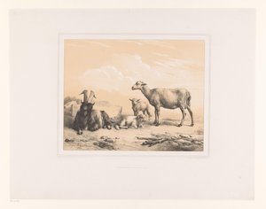 Goat, Sheep, and Two Lambs (Diverse Animals, Études d