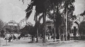 Brazil: São Paulo, Jardim da Luz by European Photographer