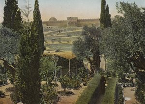 Garden of Gethsemane by European Photographer