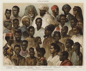 African Races by European School