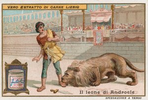 Androcles and the Lion by European School
