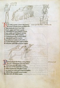 Bestiary: the Horse