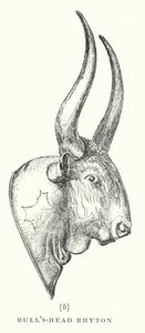 Bull