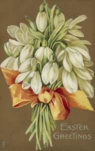 Bunch of Snowdrops, Easter Greetings by European School