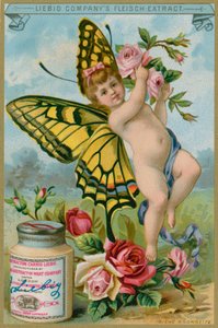 Butterfly Cherub with Red Roses