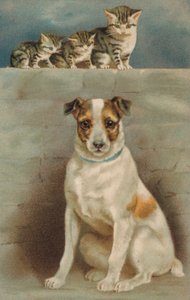 Cats Observing a Dog by European School