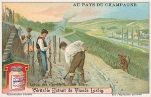 Champagne, Liebig Card, Early 20th Century by European School
