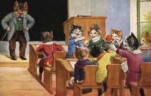Classroom of Cats