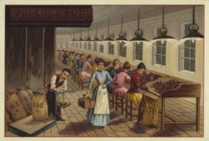 Cocoa processing plant by European School
