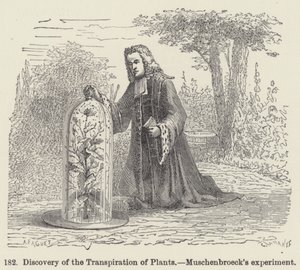 Discovery of the Transpiration of Plants, Muschenbroeck