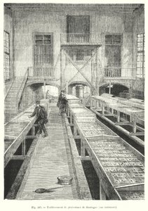 Fish Farming Establishment of Huningue, Interior View (engraving) by European School