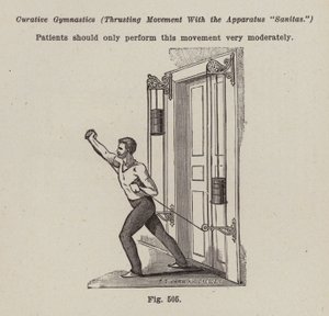 Gymnastic Apparatus