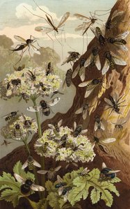 Dominion of the Flies by European School