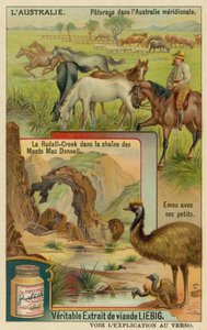 Horses at Pasture, Ridells Creek in the MacDonnell Mountains and an Emu with Its Young by European School