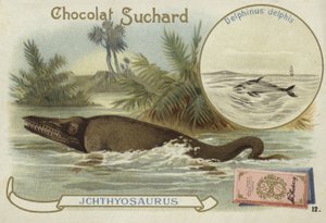 Ichthyosaur and common dolphin by European School