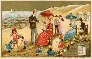 Life at the Seaside by European School