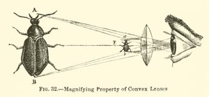 Magnifying Property of Convex Lenses by European School