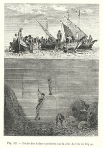 Pearl Oyster Fishing on the Coast of Ceylon (engraving) by European School