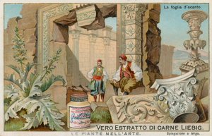 Plants in Art by European School