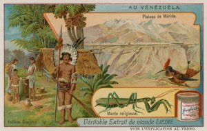 Plateau of Mirida with Hummingbird and Praying Mantis and Wayu Indians by European School