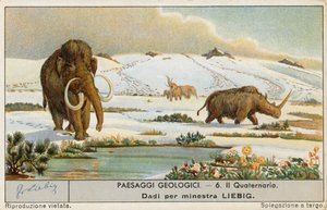 Prehistoric World by European School