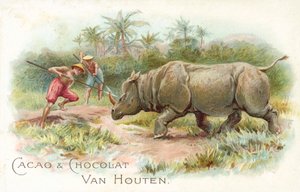 Rhinoceros under Attack by European School