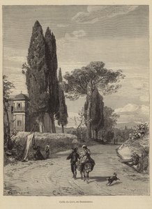 Road from Cavi to Genazzano by European School