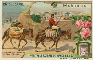 Sofia and a trader transporting rose essence by European School