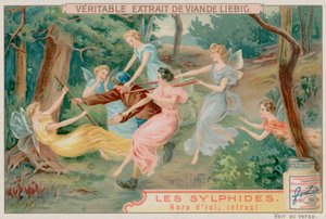 Sylphs and an Intruder by European School
