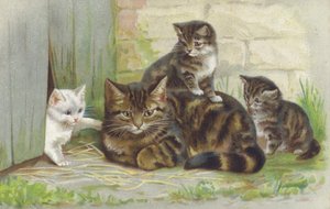 Tabby Cat with Three Kittens by European School