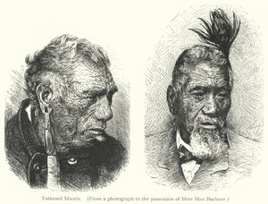 Tattooed Maoris by European School